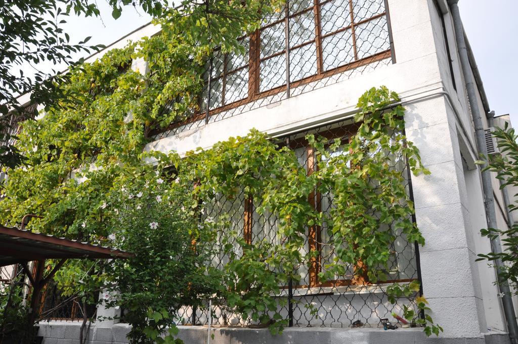 Villa Ivana Odessa Exterior foto
